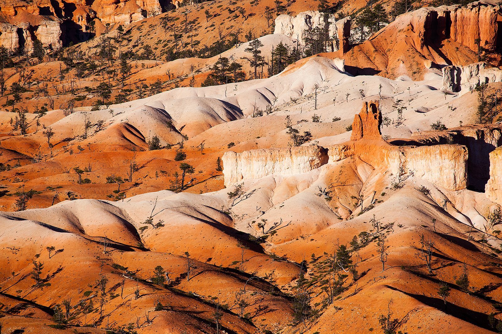 Bryce Canyon Campervan